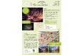 川面に咲く花火、5,000個の風鈴、クラシックカー142台。夏の五泉は、見どころ満載。「GO！GO！ごせんNEWS」2026年6・7月号を発行しました