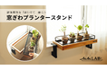 観葉植物を【浮かせて】飾れる「窓ぎわプランタースタンド」発売