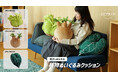 【抱きしめられるビカクシダ】3種の珍奇植物がまさかの“もふもふ”に！？こだわりと綿が詰まった『植物ぬいぐるみクッション』が発売