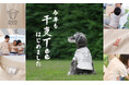 【2027年は未（ひつじ）年】年賀状の“マンネリ”を解決！DODの毎年恒例「干支Tee」から初のペットサイズが登場。愛犬・愛猫との「完全リンクコーデ」で家族写真に新風。