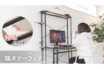 ゲーミングデスクを猫家具化する、モニターラック型のキャットタワー発売。お猫さまと共に「高み」を目指そう!