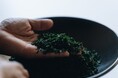 新原製茶、碾茶入札会で史上最高額1kg47,100円を落札。鹿児島茶市場取引で3冠達成。