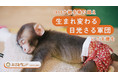 【日光さる軍団】日本一の動物エンターテイメント施設に向けて、クラウドファンディングを開始