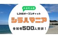 【白浜町】シラハマニアが登録500名を突破 地域の魅力をつなぐ白浜町コミュニティが急成長