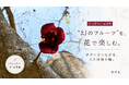 【広島県神石高原町】"幻のフルーツ"ポポーを「実」ではなく「花」で楽しむ。全国でも珍しいドライフラワー作りを開催