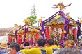 【神奈川県寒川町】夏の一大祭り 第11回「さむかわ神輿まつり」開催!