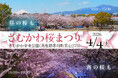 【神奈川県寒川町】さむかわ桜まつり2026