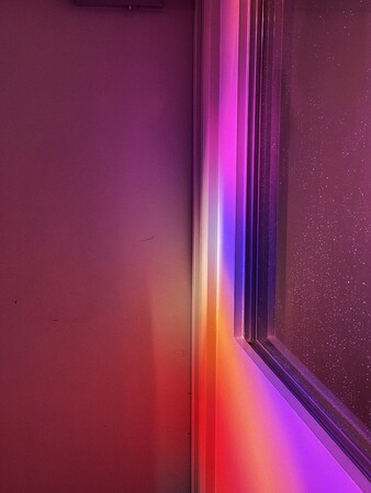 wTOKYOx (C)mika ninagawa, Courtesy of Tomio Koyama Gallery