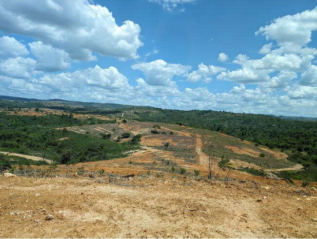 植林プロジェクトの例：プロジェクト実施前の荒廃した土地