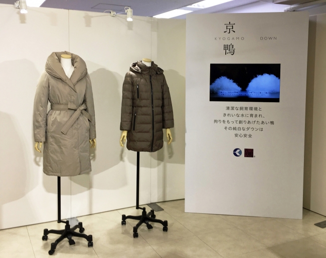 「京鴨ダウンシリーズ」2017年秋冬展示会の様子