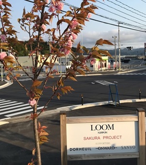 ”桜プロジェクト”　　　　　　1630本の桜が、昨年2月までに植樹されました。　　