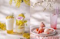 キンプトン新宿東京 ザ・ジョーンズ カフェ&バー×PEACH JOHNスペシャルコラボレーション第2弾!数量限定のオリジナル「ミモザ&桜スイーツ」に人気商品のお土産つきプランが3月1日(土)~スタート