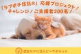 犬猫の殺処分撲滅!クラファンプロジェクト1月19日から始動!