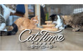 インストゥルメンタル音楽「Cat Time ~幸せへの一歩~」CSチャンネル「日テレプラス」にて2025年7月13日(日)スタート