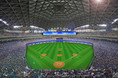 中日ドラゴンズの本拠地「バンテリンドーム ナゴヤ」ミズノ野球専用人工芝「MS Craft Baseball Turf」提供