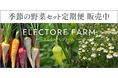 【旬の無農薬野菜&ハーブをお届け】エルビュー株式会社の無農薬菜園「ELECTORE FARM」より定期便の販売がスタート