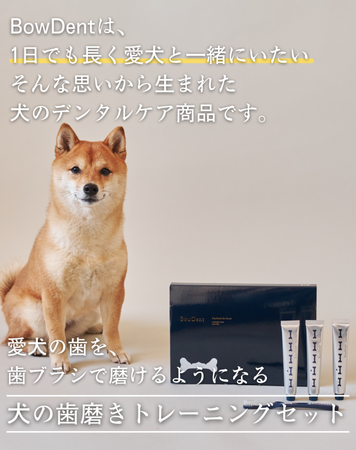 わずか3時間で目標達成!愛犬用の歯磨きセット『BowDent』がMakuakeに