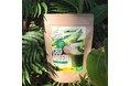【新商品】日本初！CBD×青汁のコラボレーション。沖縄発CBDブランド「ADD CBD」から「CBD GREEN」がデビュー！
