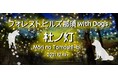 愛犬と泊まれるリゾート施設「ホテルフォレストヒルズ那須 with Dogs」、夜の散歩道を照らすイルミネーション「杜の灯」開始