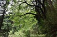 「つくば万博の森」が環境省の自然共生サイトに認定されることが決まりました
