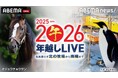 朝日新聞の中山由美記者が、南極から年越し番組に生出演