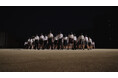 ～やっぱり野球を愛してる～　朝日新聞社が主催する夏の高校野球CM