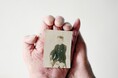 朝日新聞写真記者が国際写真コンテスト「インターナショナル・フォトグラフィー・アワード（IPA）」で部門１位を受賞