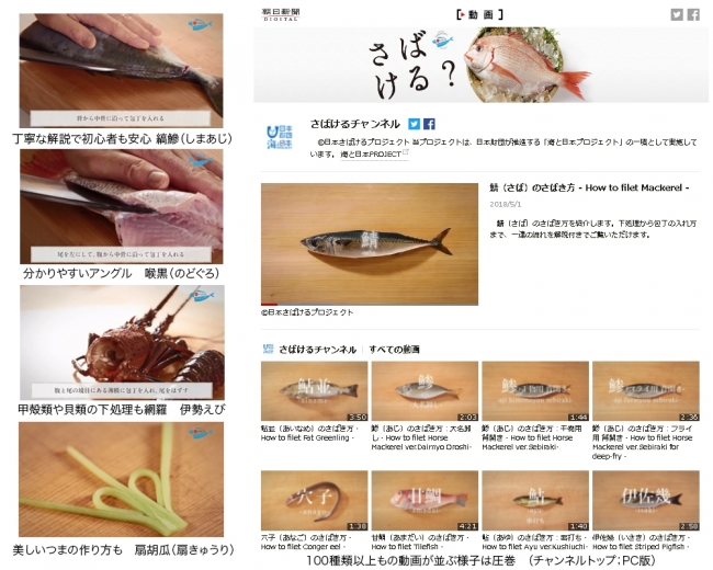 魚を さばく 動画で 奥深い魚食文化を学び 堪能 株式会社朝日新聞社のプレスリリース