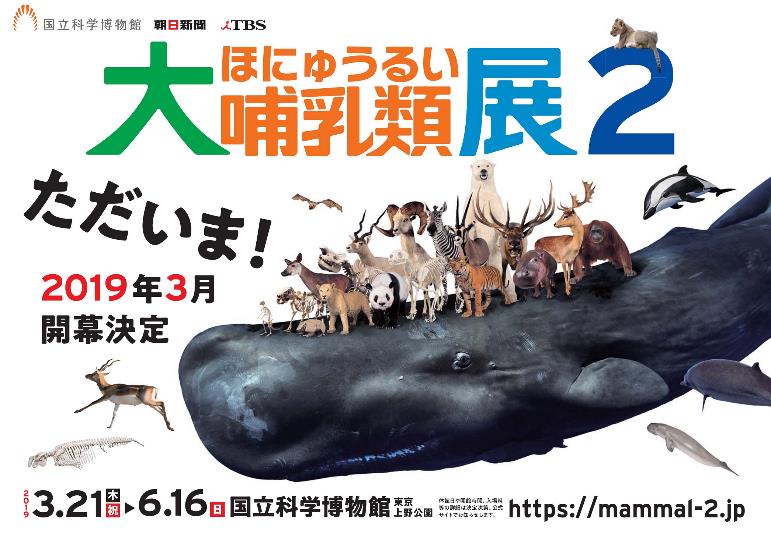 特別展 「大哺乳類展２」2019年3月21日（木・祝）、開幕決定！