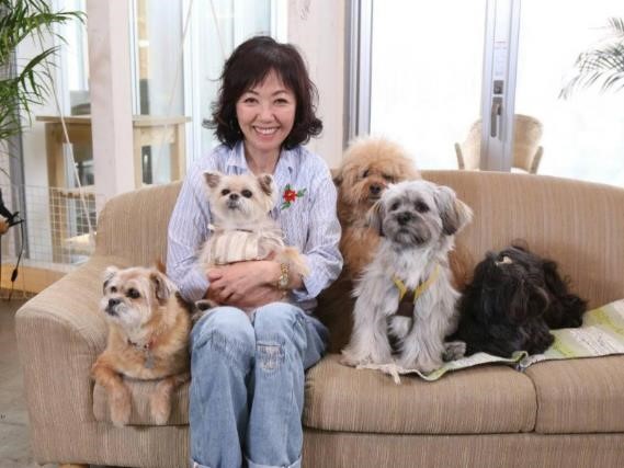 浅田美代子さんと元保護犬の愛犬たち