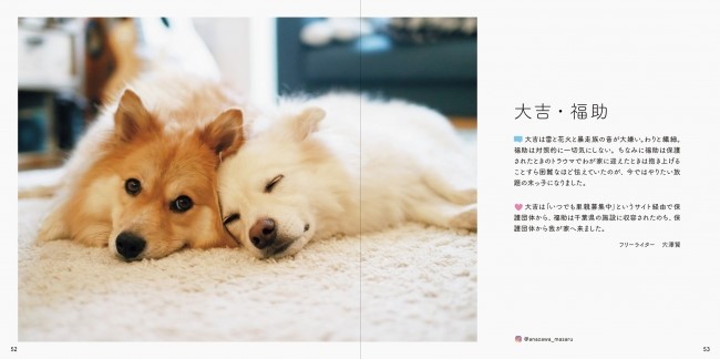 新しい家族のもとで幸せに暮らす元保護犬 元保護猫 写真集 みんなイヌ みんなネコ 発売 株式会社朝日新聞社のプレスリリース