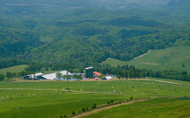 ワタミファーム美幌峠牧場 ワタミファーム美幌峠牧場