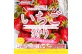 【かみむら牧場】焼肉屋さんでいちご狩り！？今年もやります！年に一度の「いちご」食べ放題を開催します！！2026年3月4日よりスタート！！