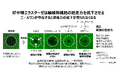 シワ原因「好中球エラスターゼ」の新知見