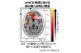 化粧品の感覚変容ツールとしての可能性を発見 化粧品を使うことで五感で感じる日常体験を魅力的に