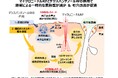 デクスパンテノールWは美容医療施術の複合ケアで角層水分量と皮膚の弾力性に寄与することを確認