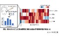 シミごとに形成要因は異なっていた