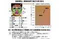 顔写真の色を用いて深部体温を推定できる可能性を発見