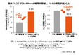シワには“シワのための保湿メカニズム”があることを発見