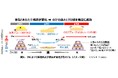 アイクリームのための新しい化粧膜設計