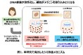 ポーラ化成工業、世界的に権威ある化粧品技術者学会にて発表　シミが自然に薄くなるメカニズムを解明