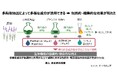 ポーラ化成工業、世界的に権威ある化粧品技術者学会にて発表 　１種類の植物から有用成分を余すことなく引き出す独自のエキス抽出設計