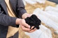 兼松、名大発グリーン&アグリテックベンチャー企業TOWINGに出資~国内外の持続可能な食料サプライチェーン構築を牽引~