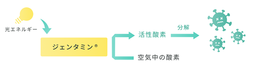 図1 ジェンタミンの除菌消臭性発現メカニズム