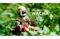 新時代の茶道を展開するWACHA、世界最大規模のテクノロジー展示会「CES 2022」に茶道ロボットで初出展