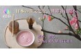桜を“飲む”抹茶。WACHA、花びらが浮かぶ春限定「SAKURA MATCHA」を発売