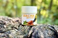 「ストレス社会に抹茶でリフレッシュ」—WACHA、抹茶とスパイスが融合した新商品「MATCHAI」で現代人の健康をサポート