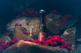 クラセアスール 魂の旅を表現した新たな限定品「Día de Muertos 死者の日 2026年エディション Trascender（超越）」10月2日より数量限定発売