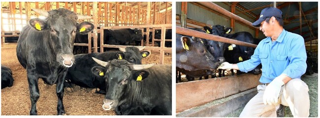 株式会社渡邊精肉店 株式会社渡邊精肉店