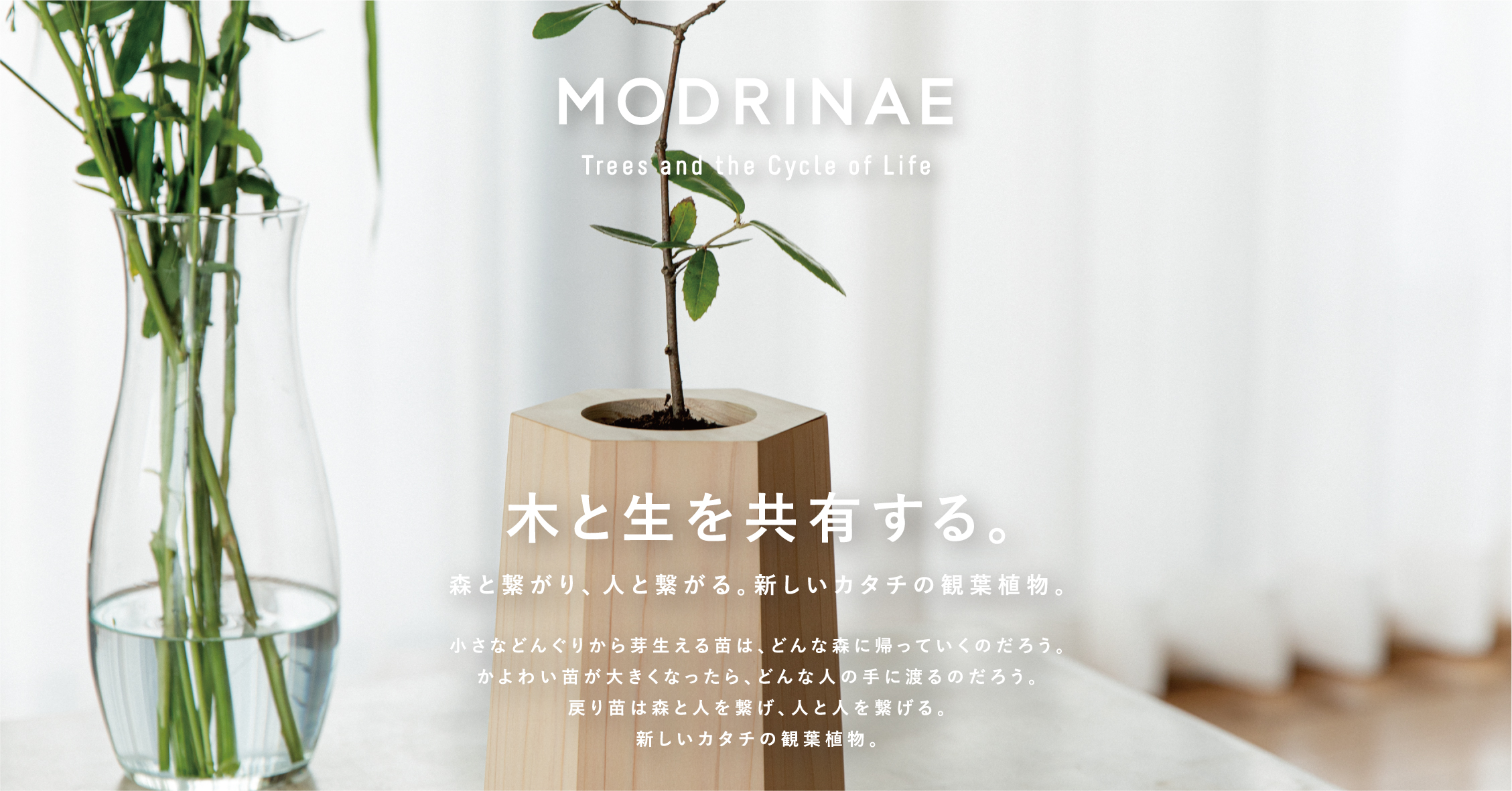 苗売り人